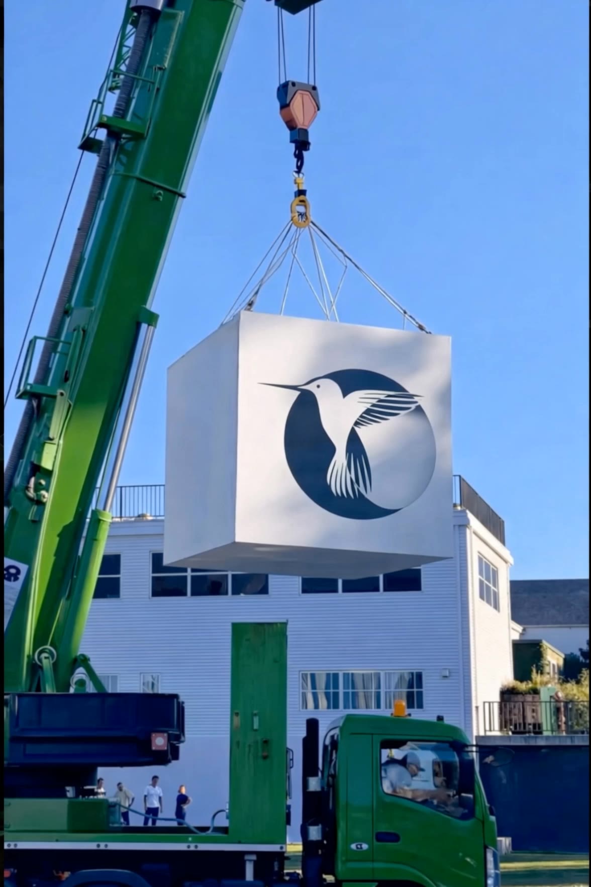 hummingbird logo adaptation - logo maker for construction AI video