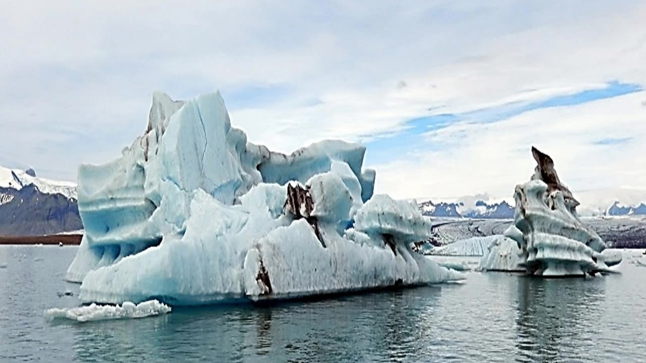 cow comes swimming - clip art iceberg AI video