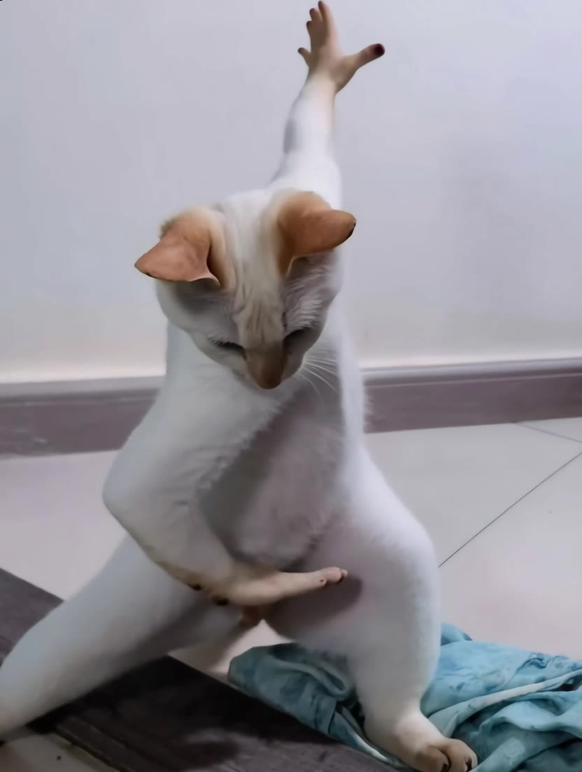 Kling AI work 311499908502660 - picture to dance AI video