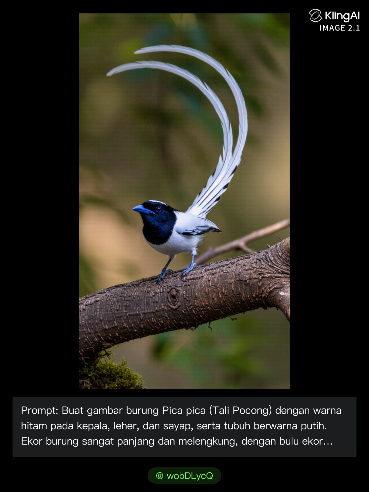 Kling AI work 296700838616974 - pica ai photo enhancer AI image