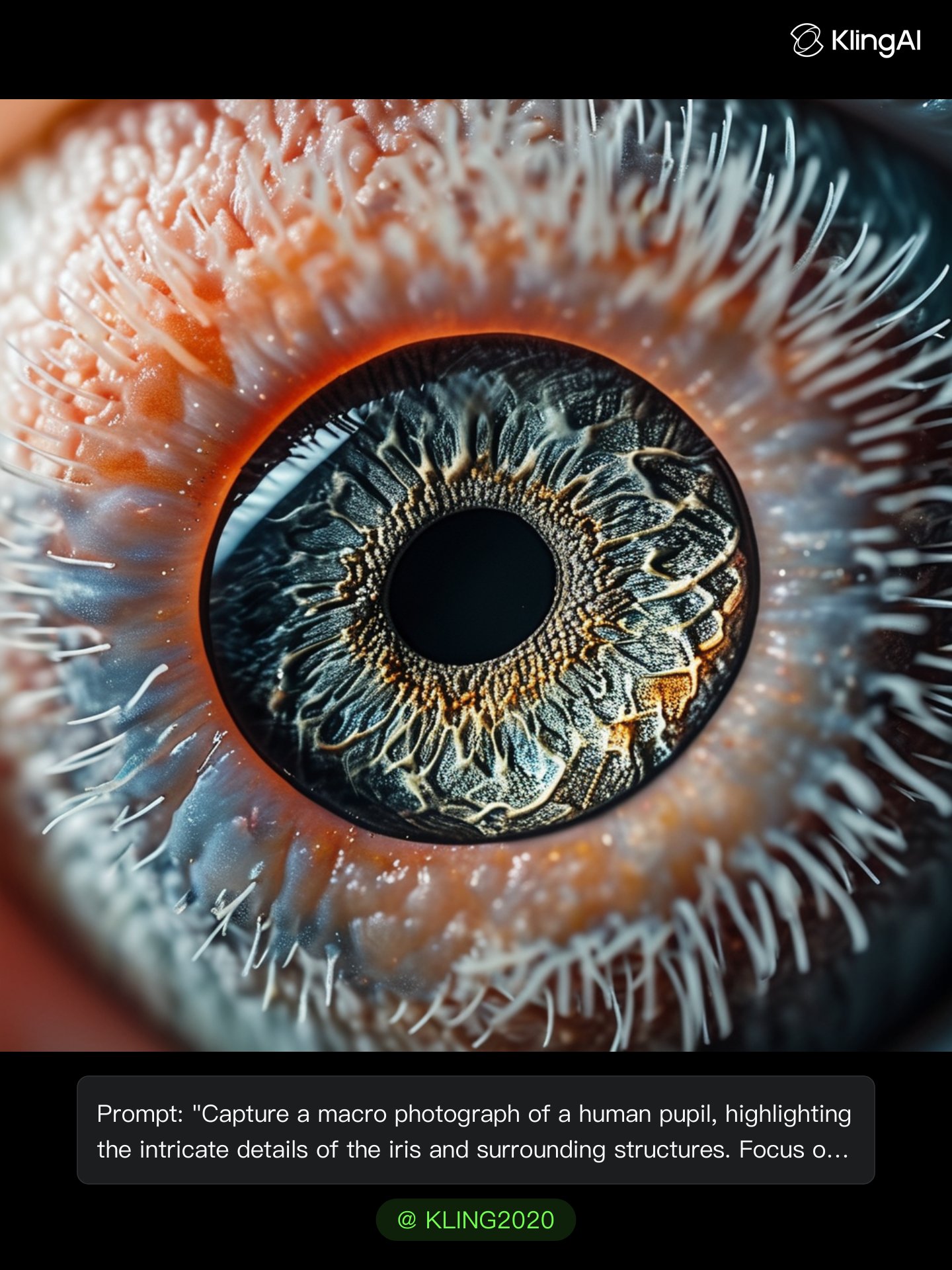 Kling AI work 314190615611594 - eye reference photo AI image