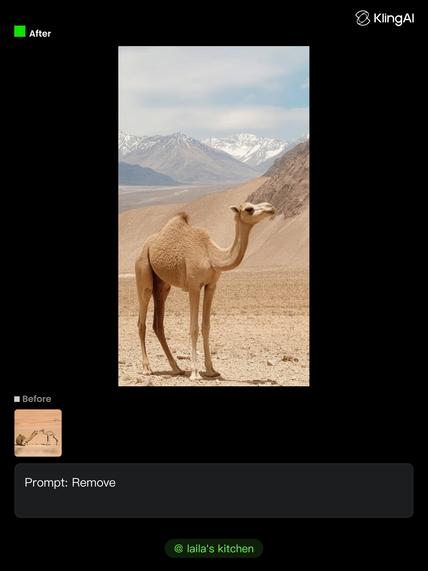 Kling AI work 299307650654352 - remove elemtn extenisn AI image