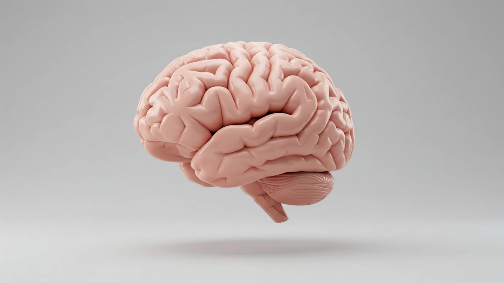 Brain CG FX - brain try on AI video