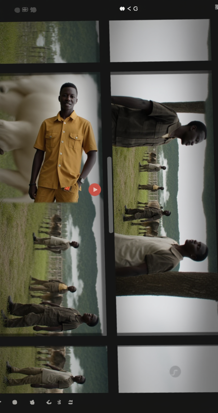 work cover