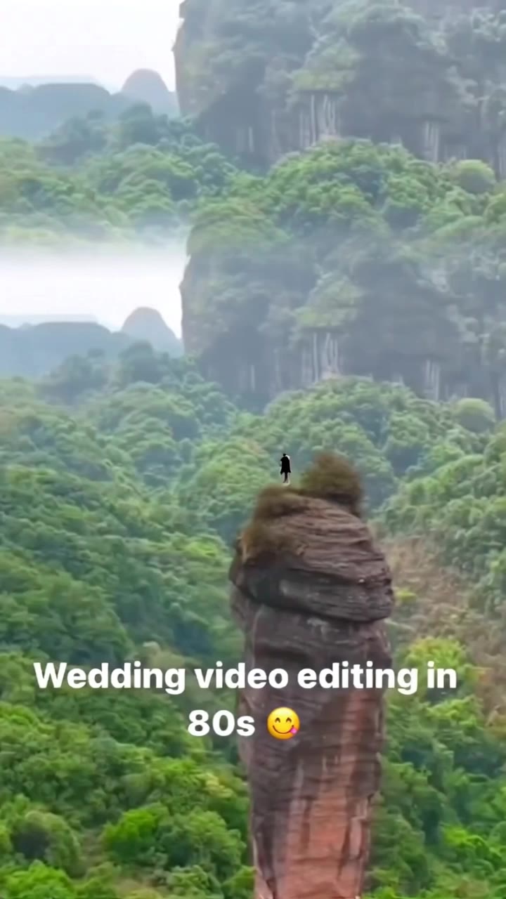 Remove the couple completely fro - remove text from video AI video