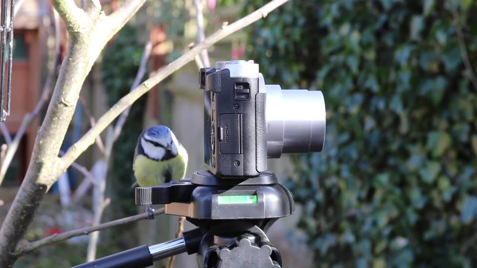 camera - ai camera AI video