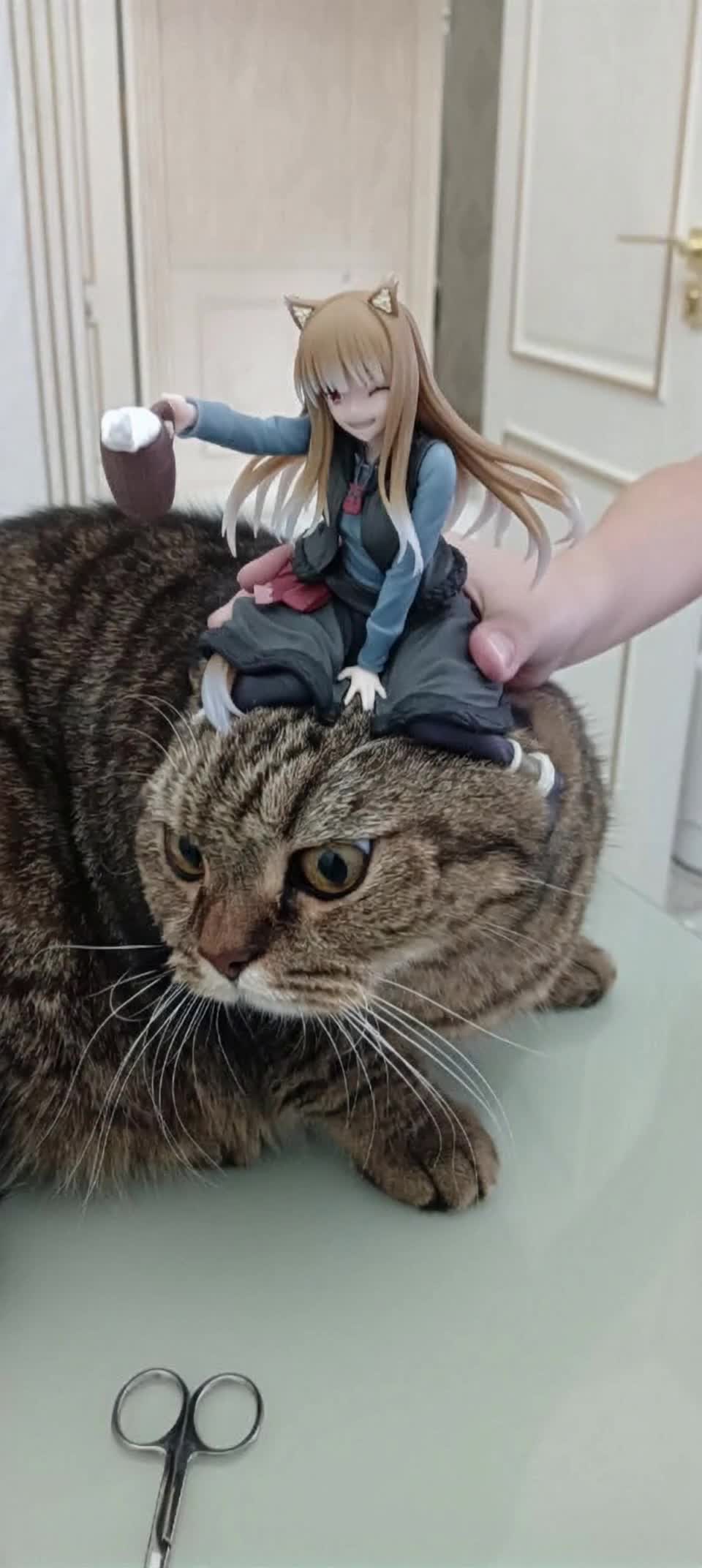 Holo and Le Chat - holo earth AI video