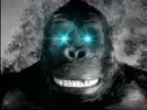 KING K@NG AI avatar