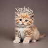 Verdalun avatar