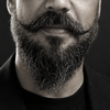 Octavio Santana avatar
