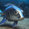 Flipper23 avatar