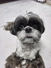 Mignon avatar