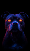 wRIizSOR avatar