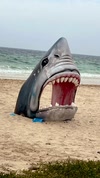 AI_Sharky avatar