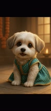 pixie anime avatar