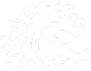 wayangwave avatar