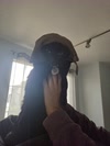 FeawGuita avatar