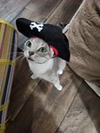 Wondertard avatar