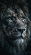 Simon_AI_Studios avatar