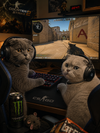 CalmyxStudio avatar