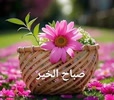 ابو الاكبر avatar