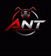 AnT avatar