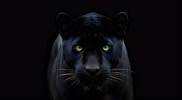 gQaRQkrd avatar