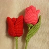 tulip uae avatar