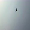AlmostAligned avatar