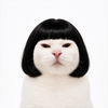MblTmNhK avatar