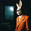 Mr Rabbit avatar
