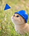 Editor avatar