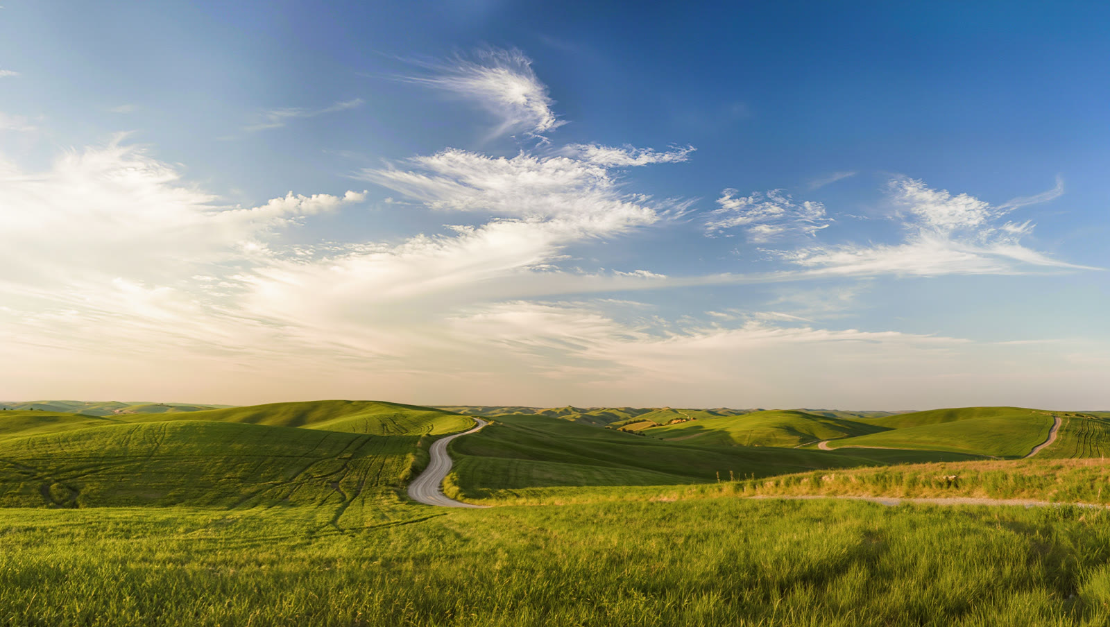 A rolling green countryside under a big empty blue sky.